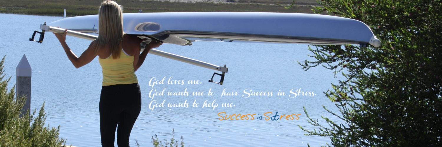 SuccessinStress's profile banner image