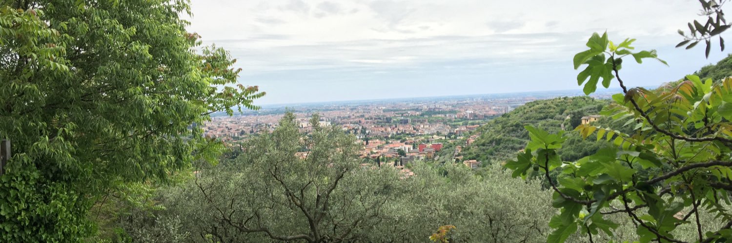 Alberto_Bozza's profile banner image