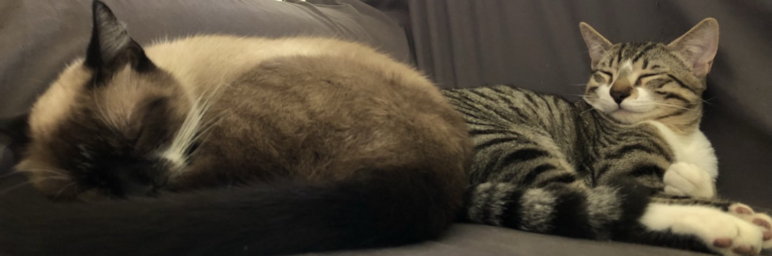 raaaaquel98's profile banner image