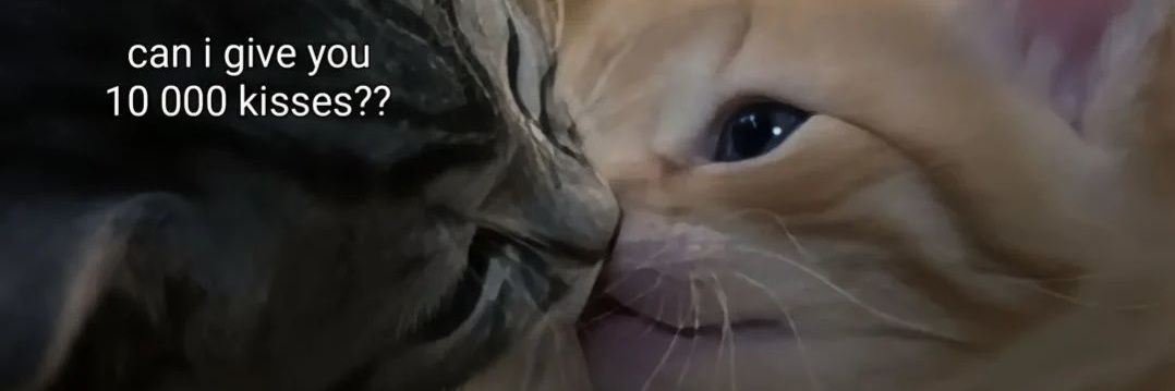denibells 🐈‍⬛🔔 banner