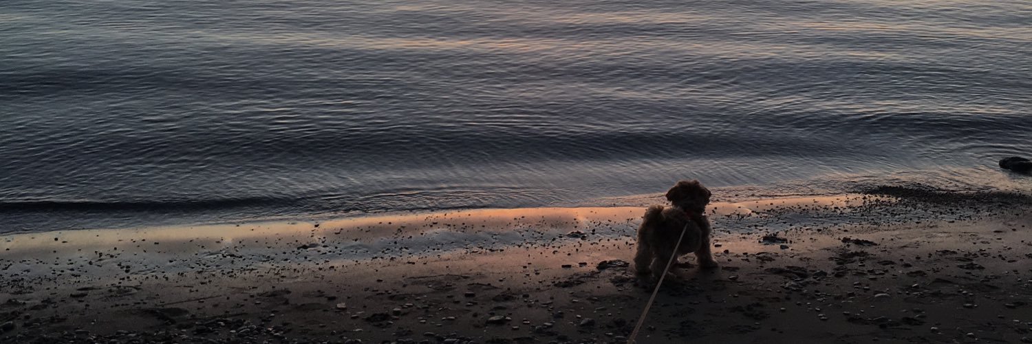 Maritza Basaran banner