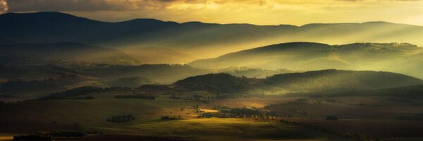 DavidToovey Profile Banner