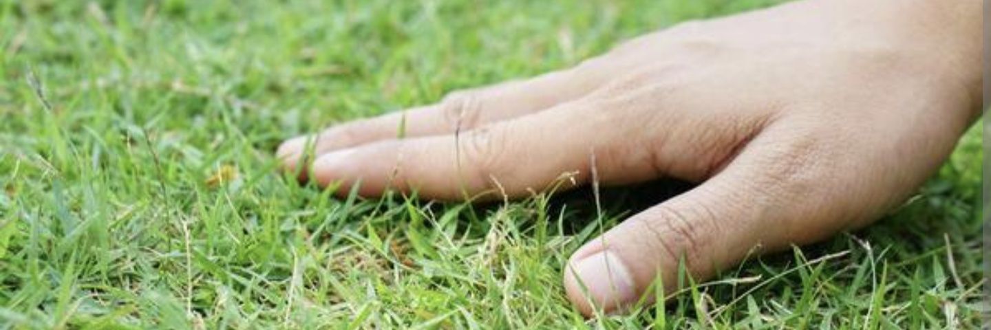 HomophoneAddled's profile banner image