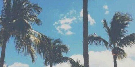 xxfardau's profile banner image