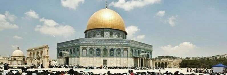 Arch_Mahmoud_M's profile banner image