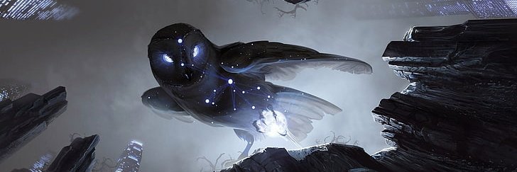 jweirmier's profile banner image