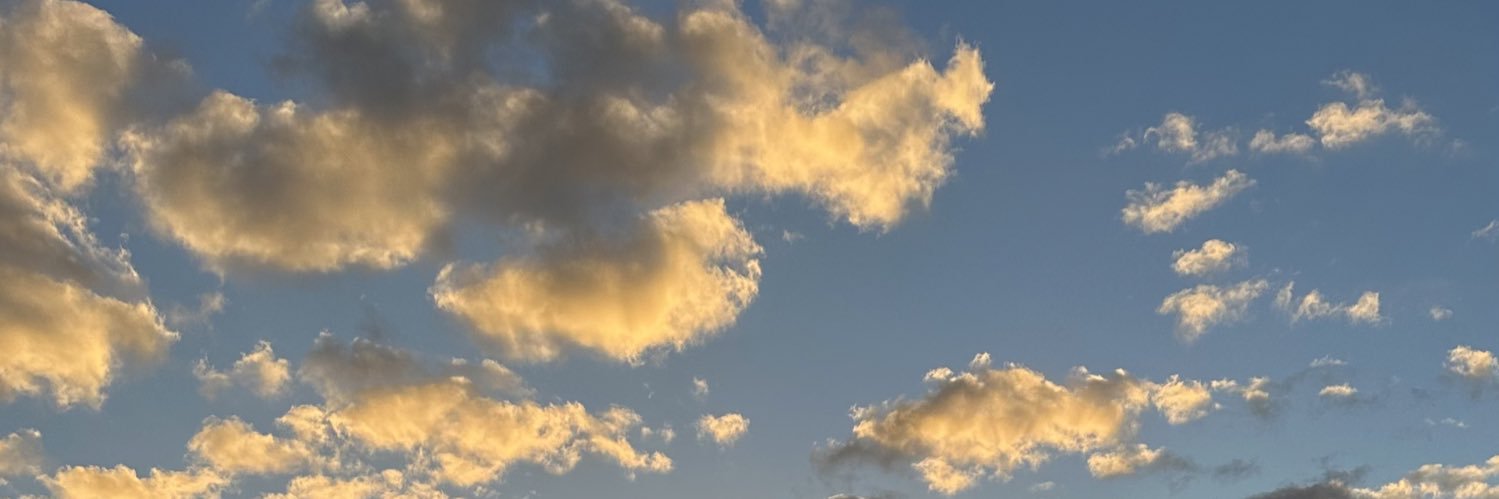 melivalt's profile banner image
