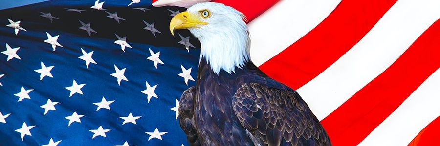 TroyThib's profile banner image