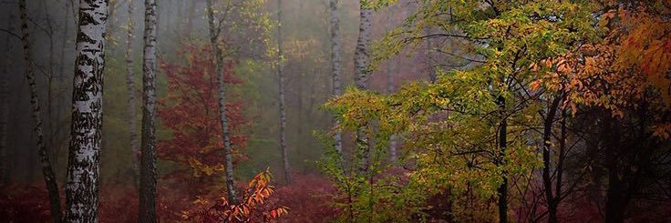 mansa_g's profile banner image