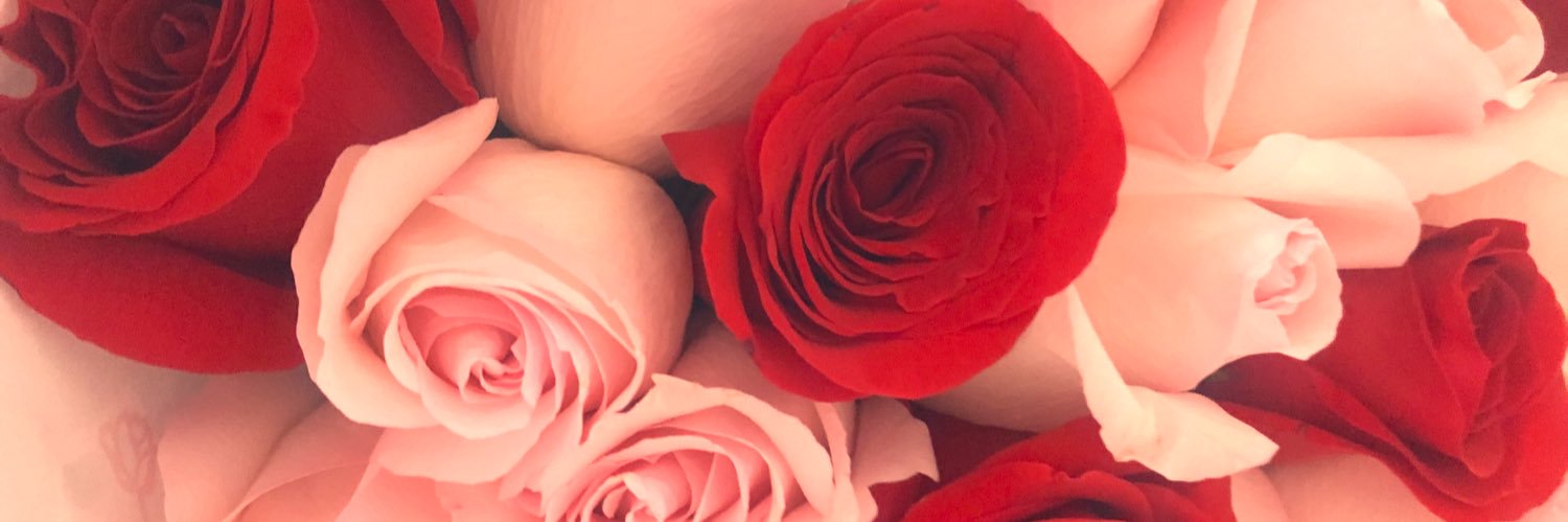 vicksinnyc's profile banner image