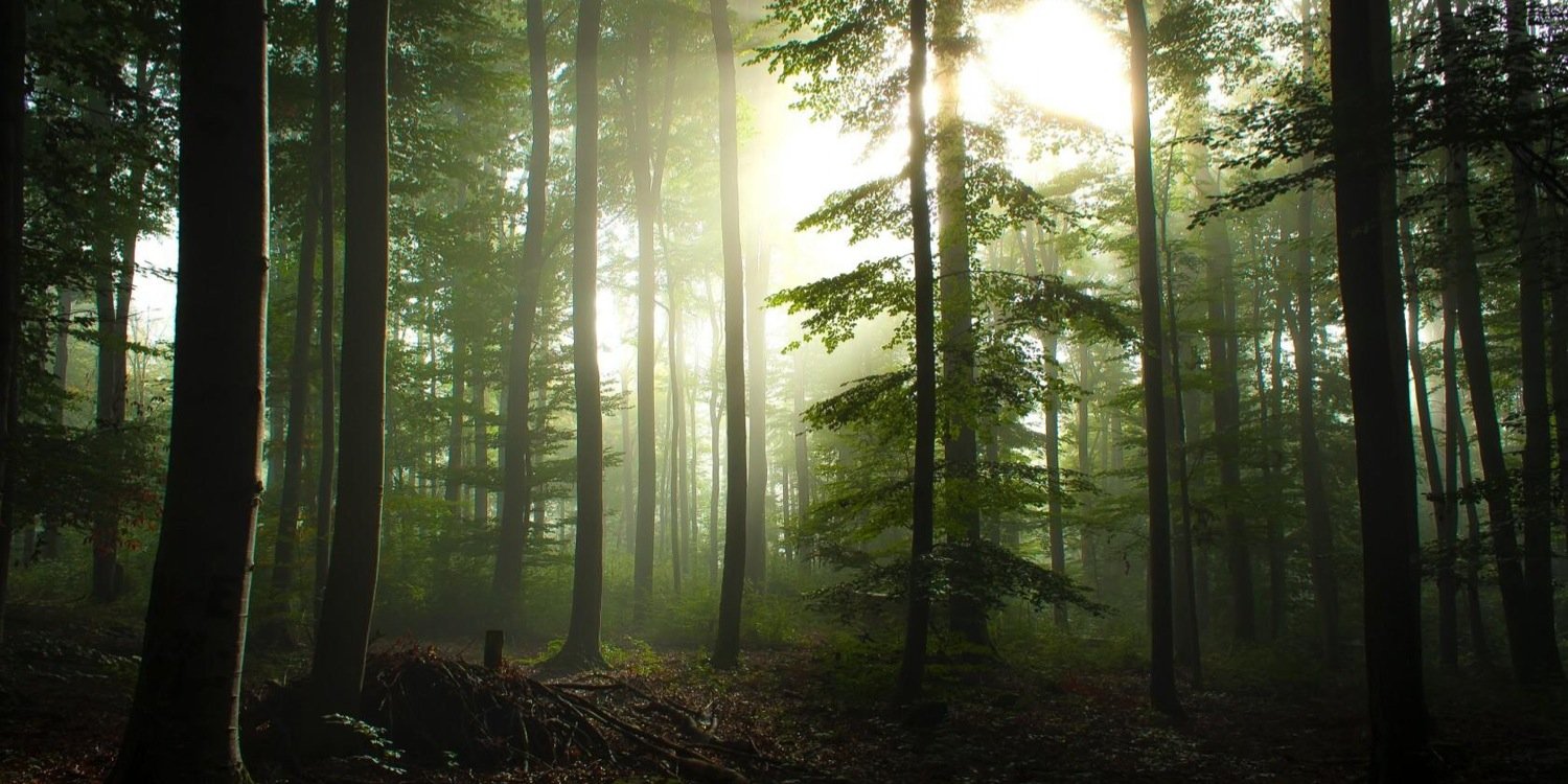 april_klanc's profile banner image