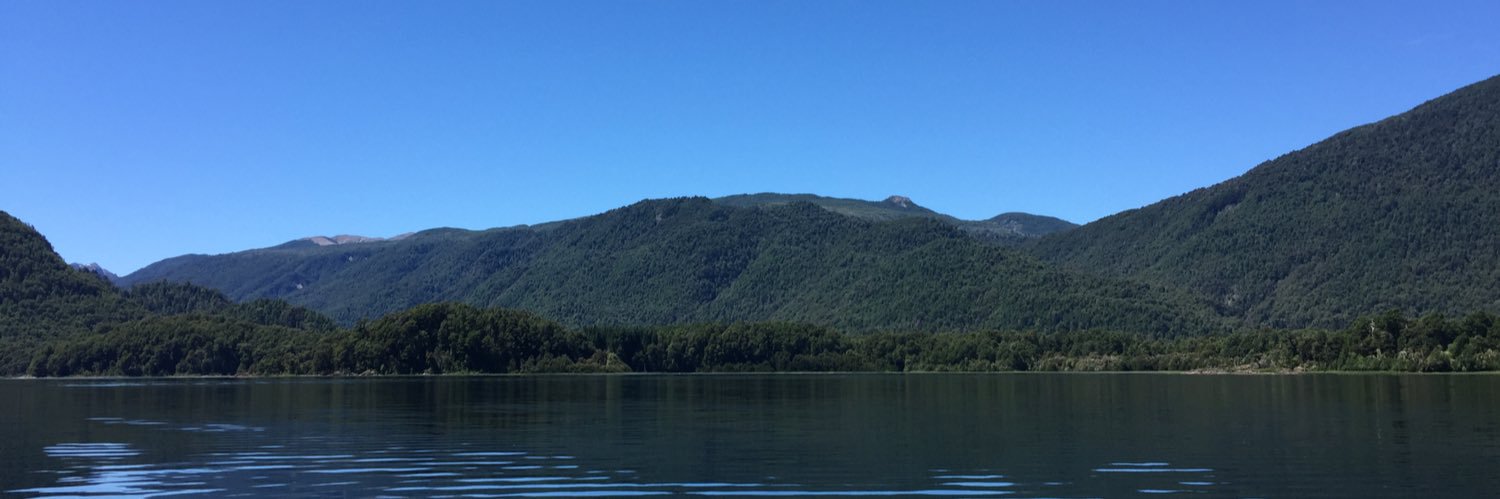 Marcelo Comparini banner