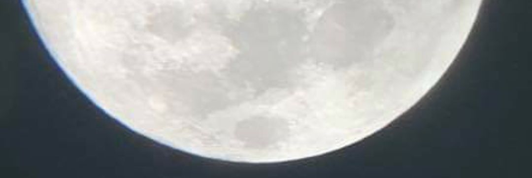 blevanti's profile banner image