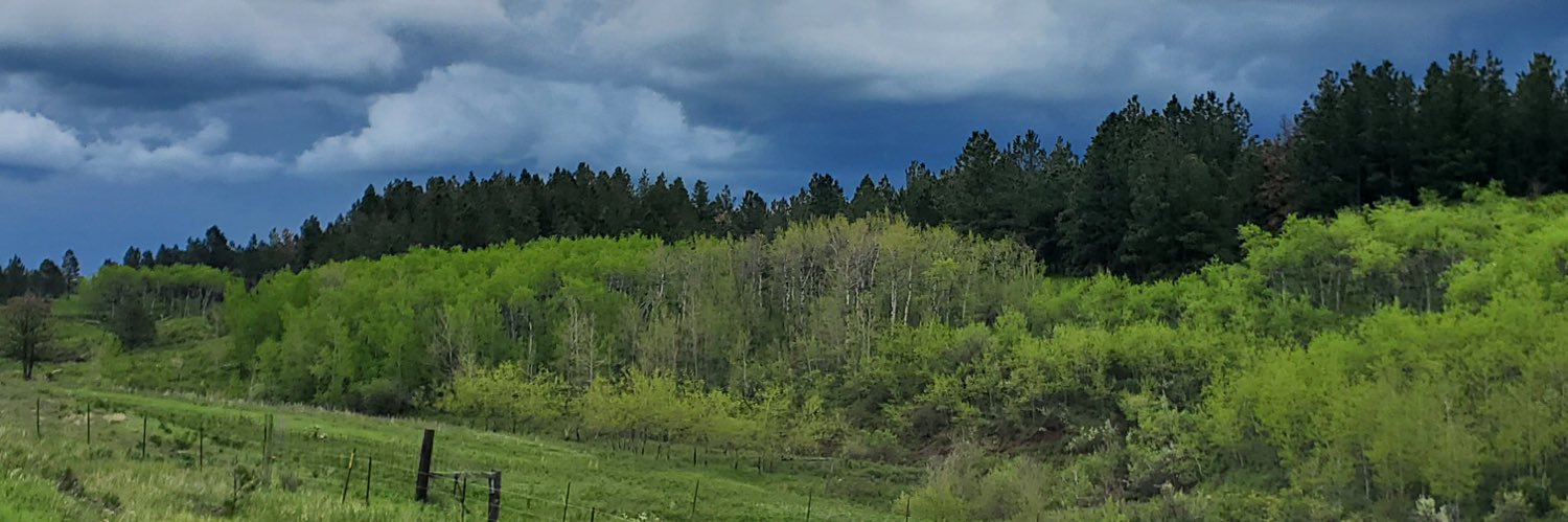cyberagpro's profile banner image