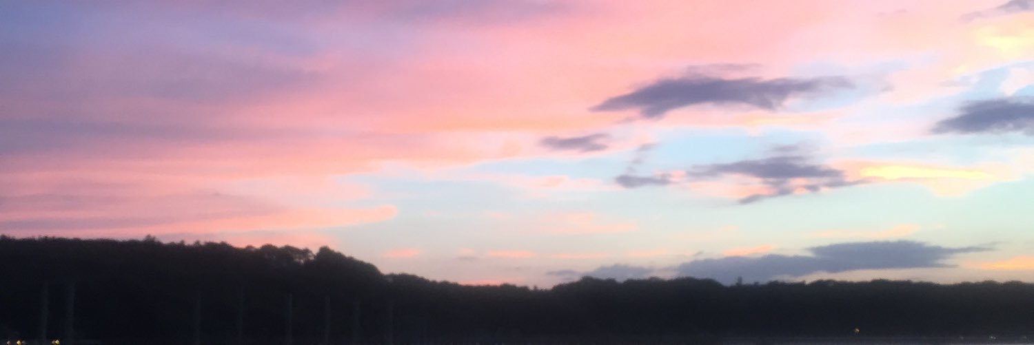 Ashley_Freedman's profile banner image