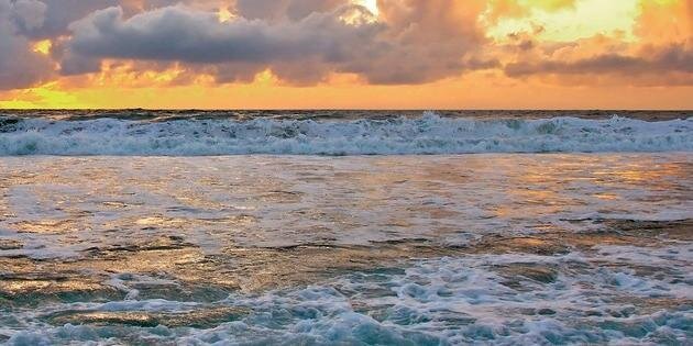 Rodrigo Oliveira banner