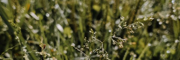 AmayaNP Profile Banner