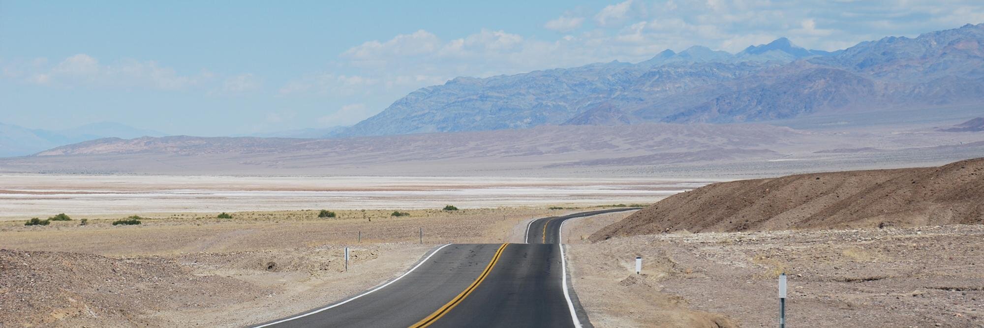 Roberta capanni banner