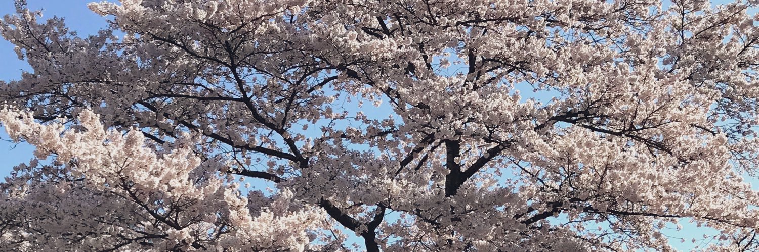 kmtm724's profile banner image