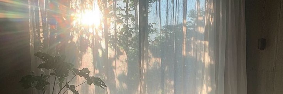 Layla_581's profile banner image