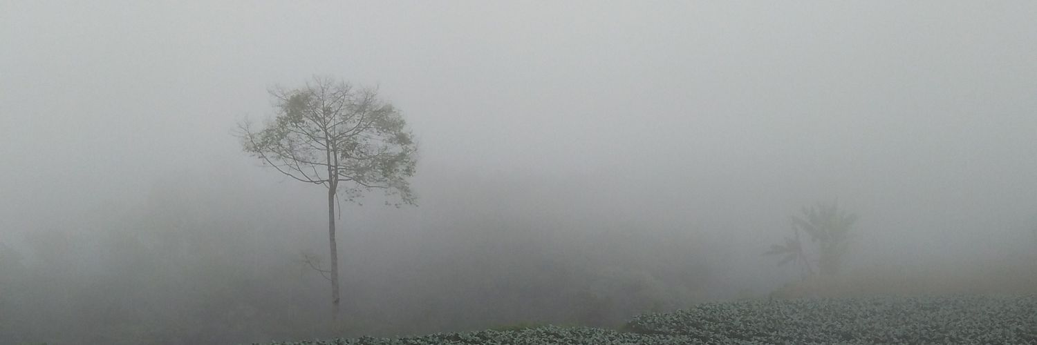 akbardenanza's profile banner image
