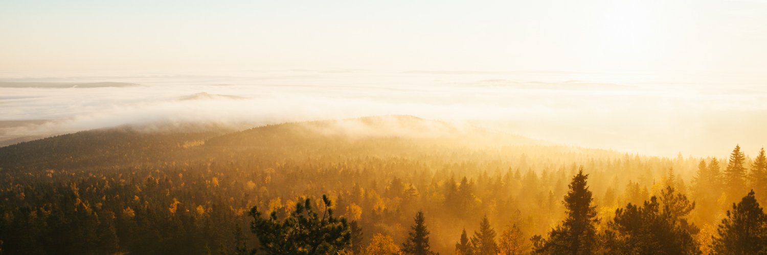 whthlludng's profile banner image