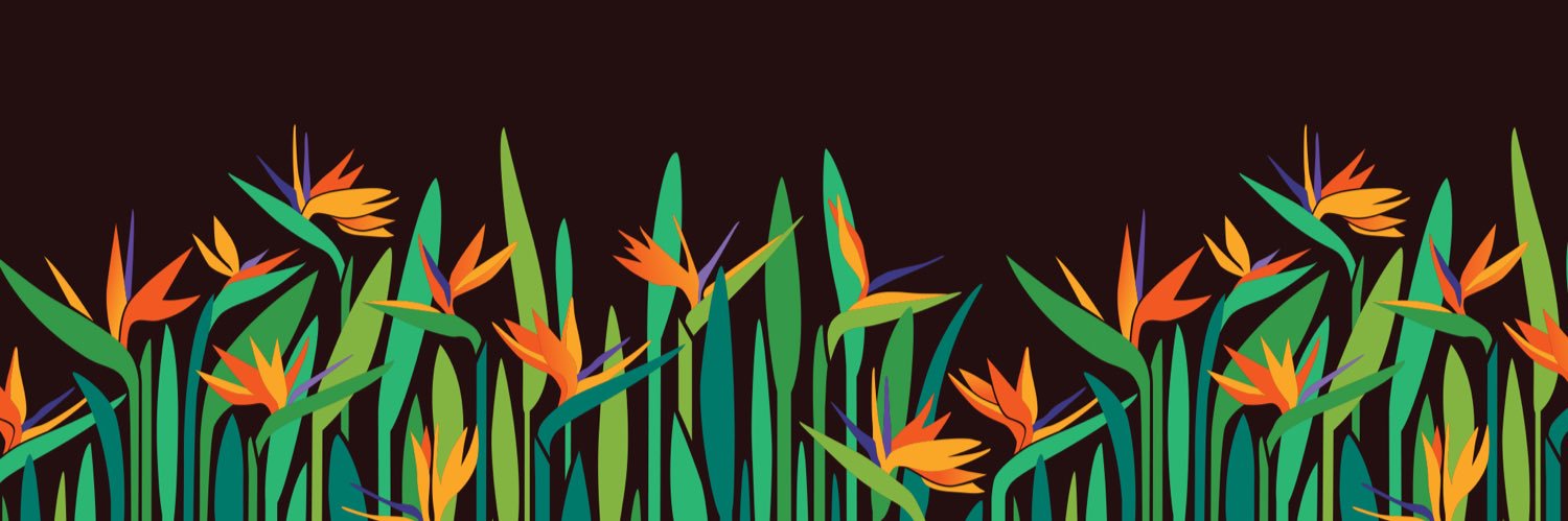 RahoulRai's profile banner image