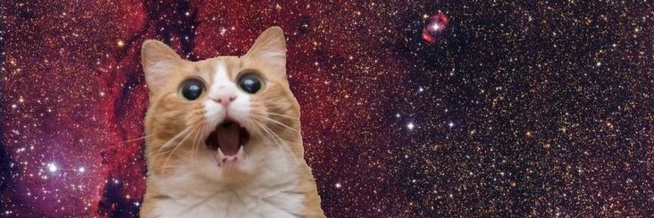 TellaDenis's profile banner image