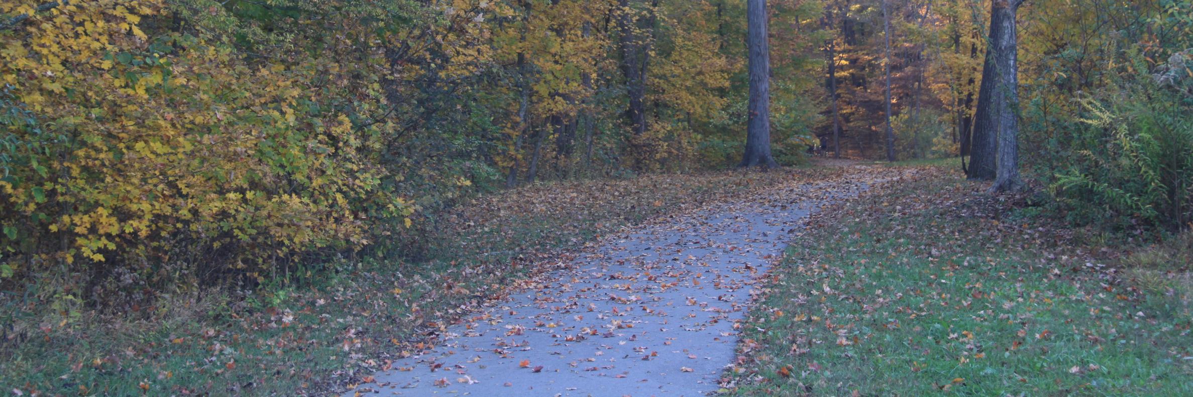 yames296's profile banner image