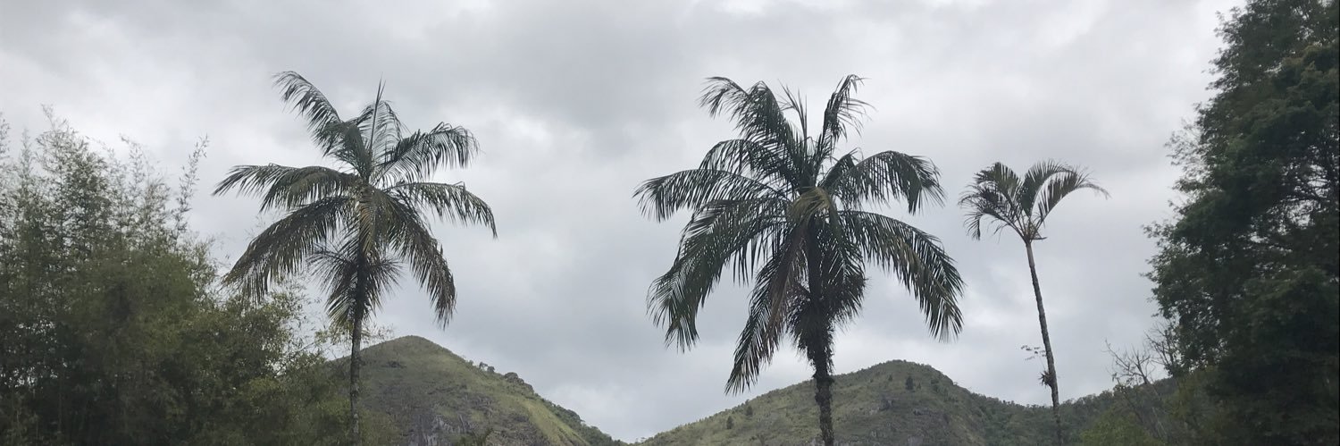 vitkale's profile banner image
