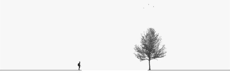 Maija banner
