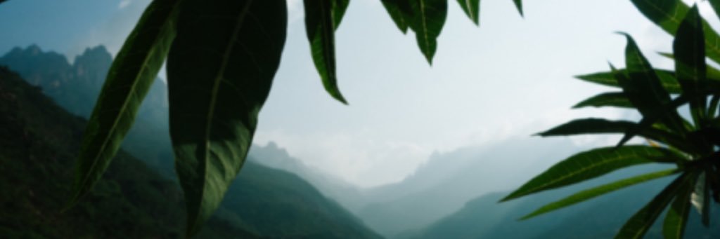 notnayda's profile banner image