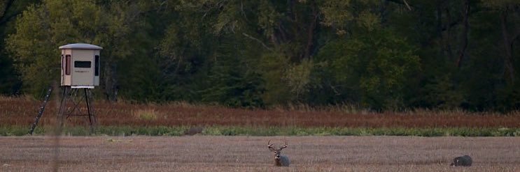 ScottHeminger's profile banner image