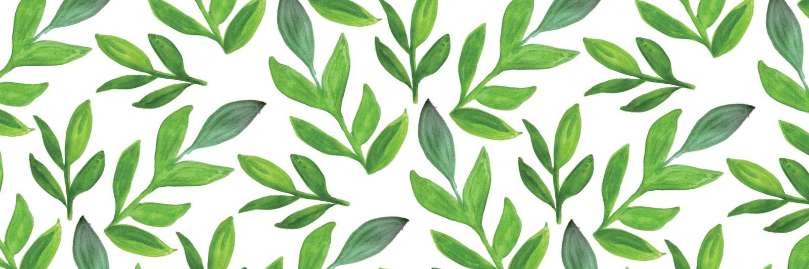 stephamoore's profile banner image