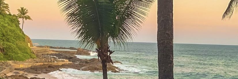 belleoliveirs's profile banner image