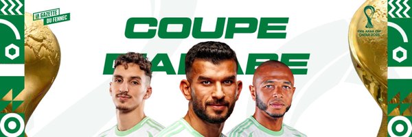 LGDFennec Profile Banner