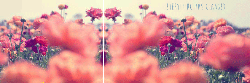 AlexaGorham's profile banner image