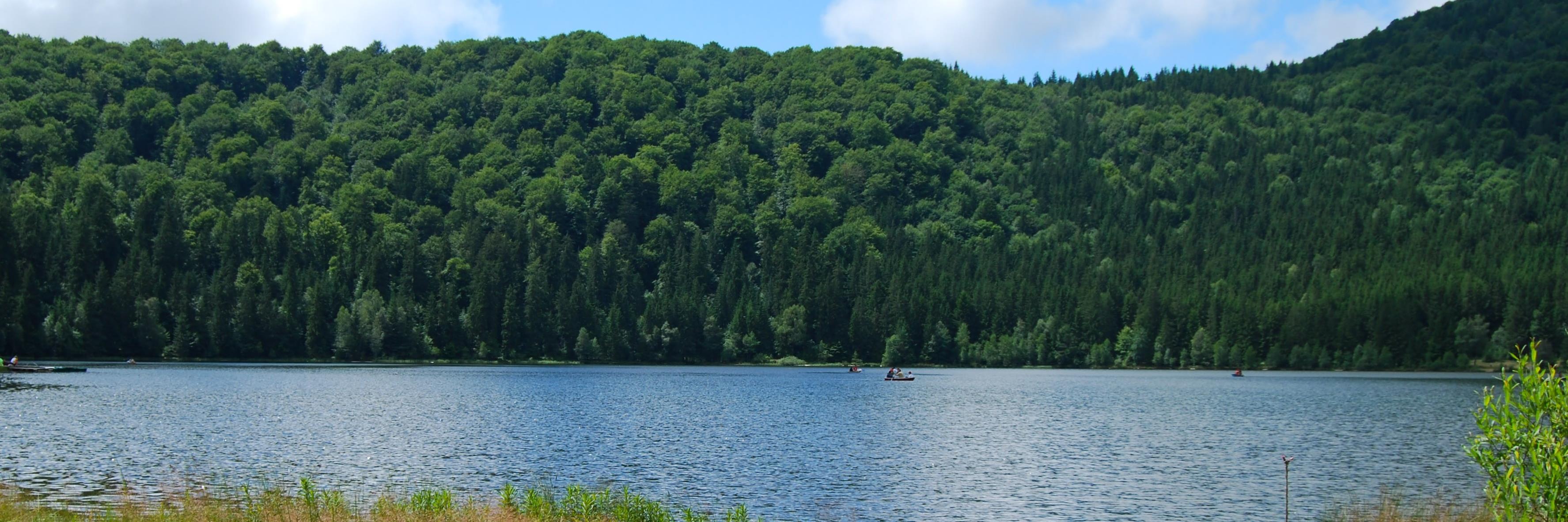 Stanley E Cook banner