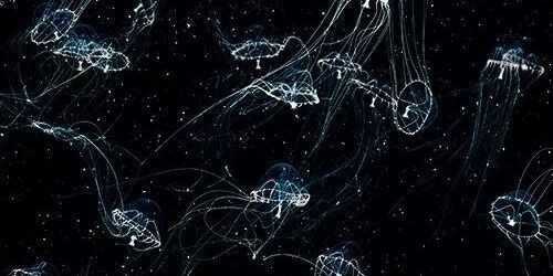 koohn_manuela's profile banner image