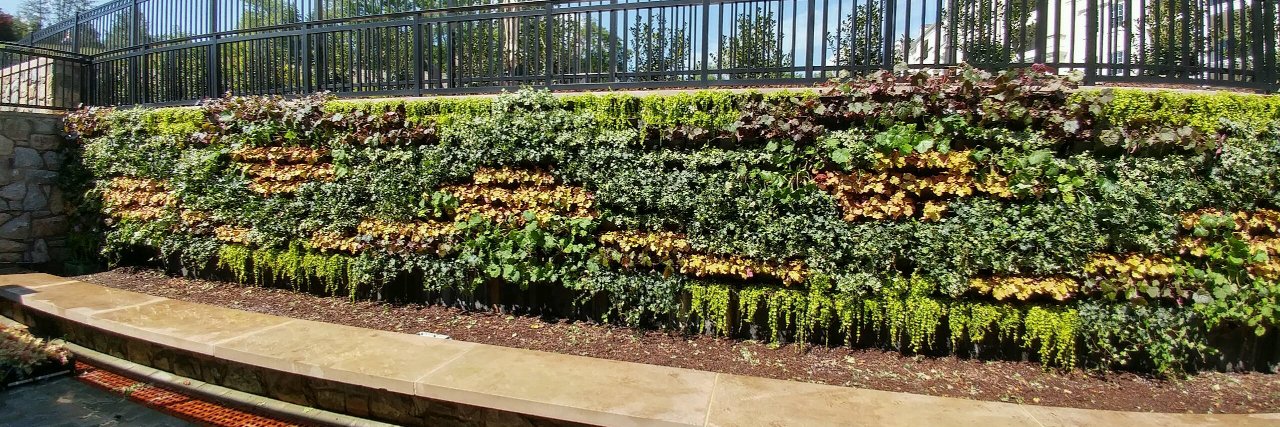 RayGreenstreet's profile banner image