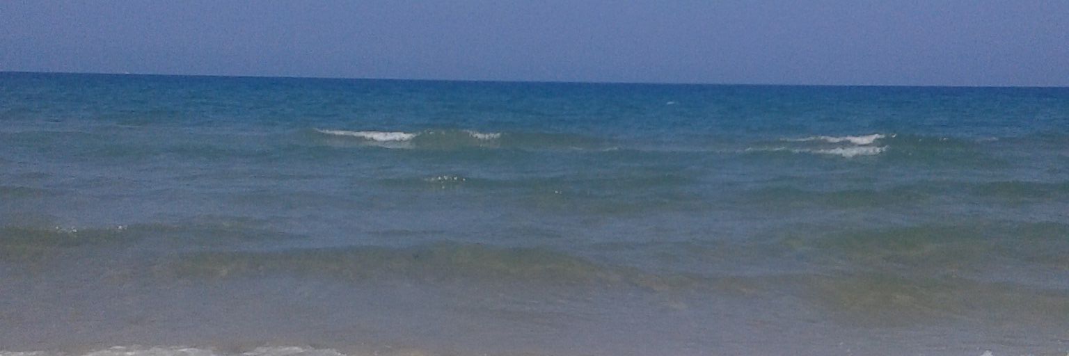 DavidOnti's profile banner image