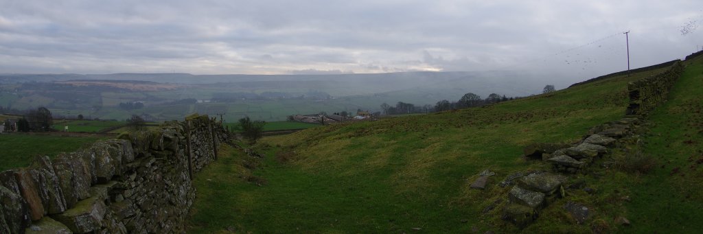 JoffCallaghan's profile banner image
