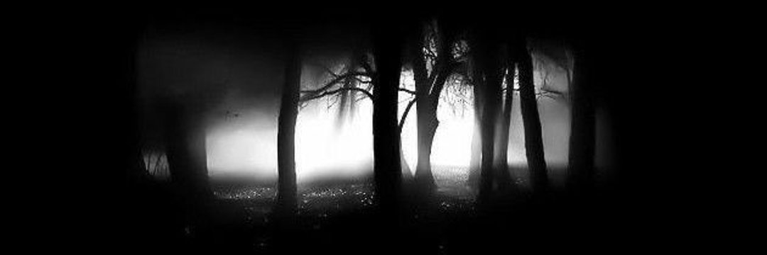 Vedric banner