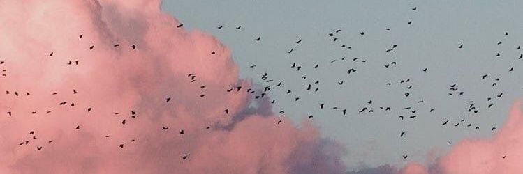 cmoiJessy's profile banner image