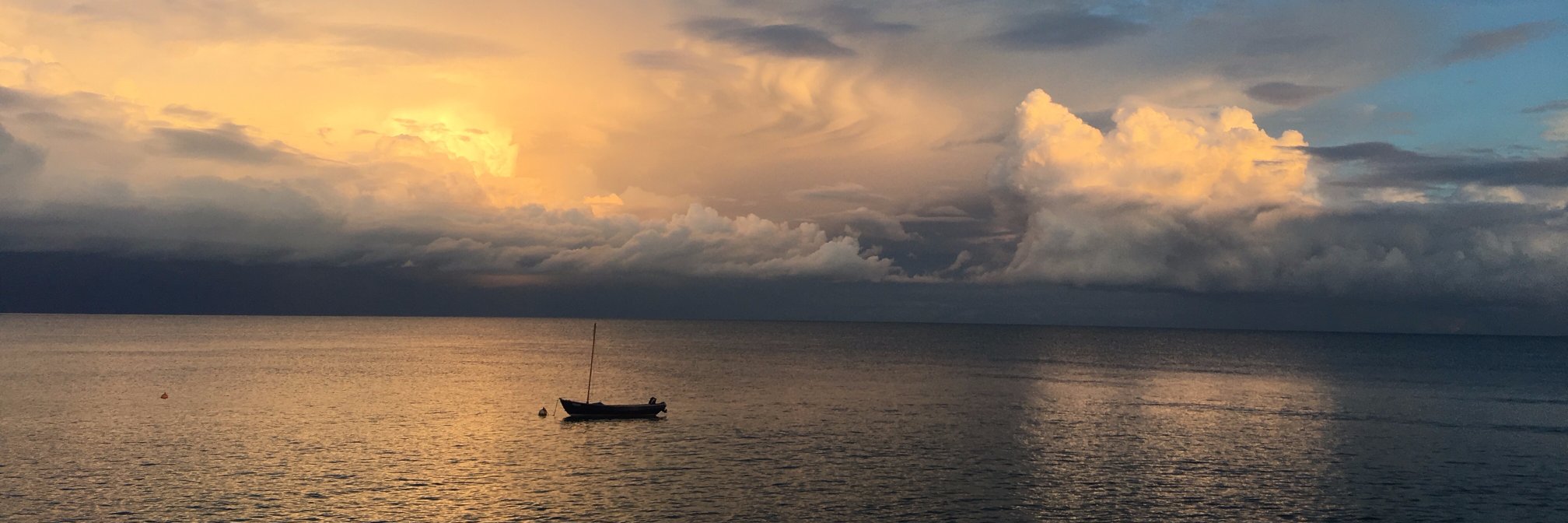 Lady Piptator banner