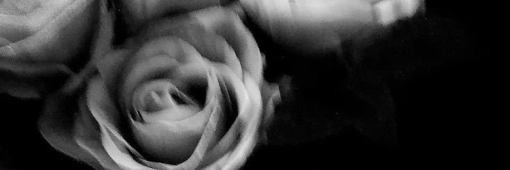 loreleynarvaezz's profile banner image