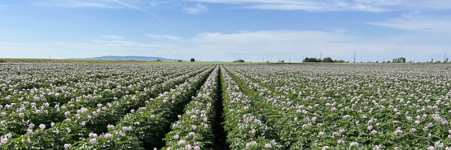 $$ SPUD MONEY $$ banner