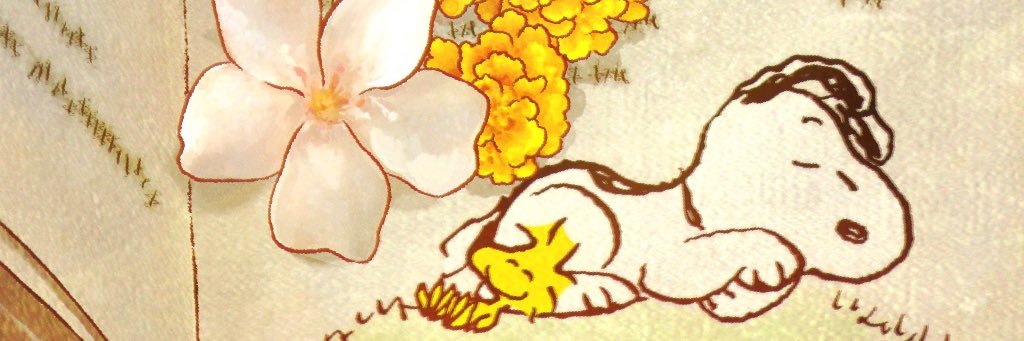 sinboo's profile banner image