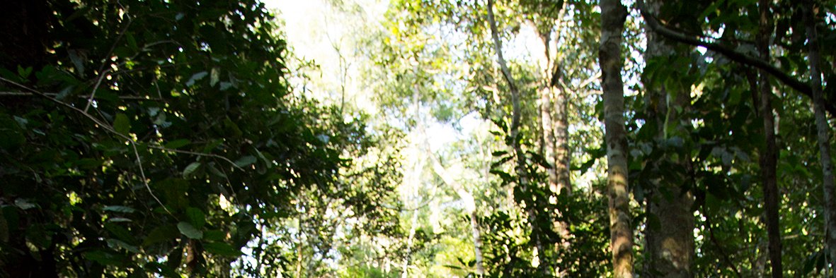 Laberinto Cine y TV banner