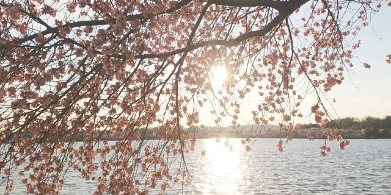 TheScribblePad's profile banner image